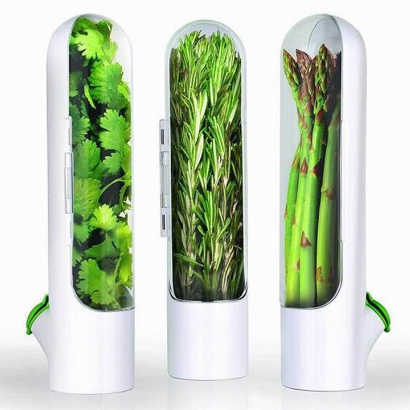 Cápsula de Conservação de Ervas Frescas - HerbTop - Cozinhando com Saúde